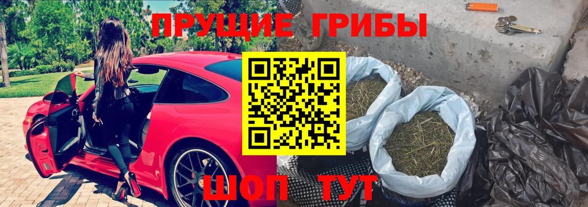 Галлюциногенные грибы Psilocybine cubensis  сколько стоит  Кубинка  Вход с VPN 