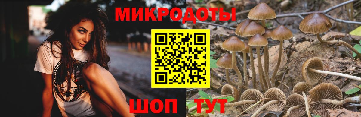Галлюциногенные грибы мицелий Кубинка