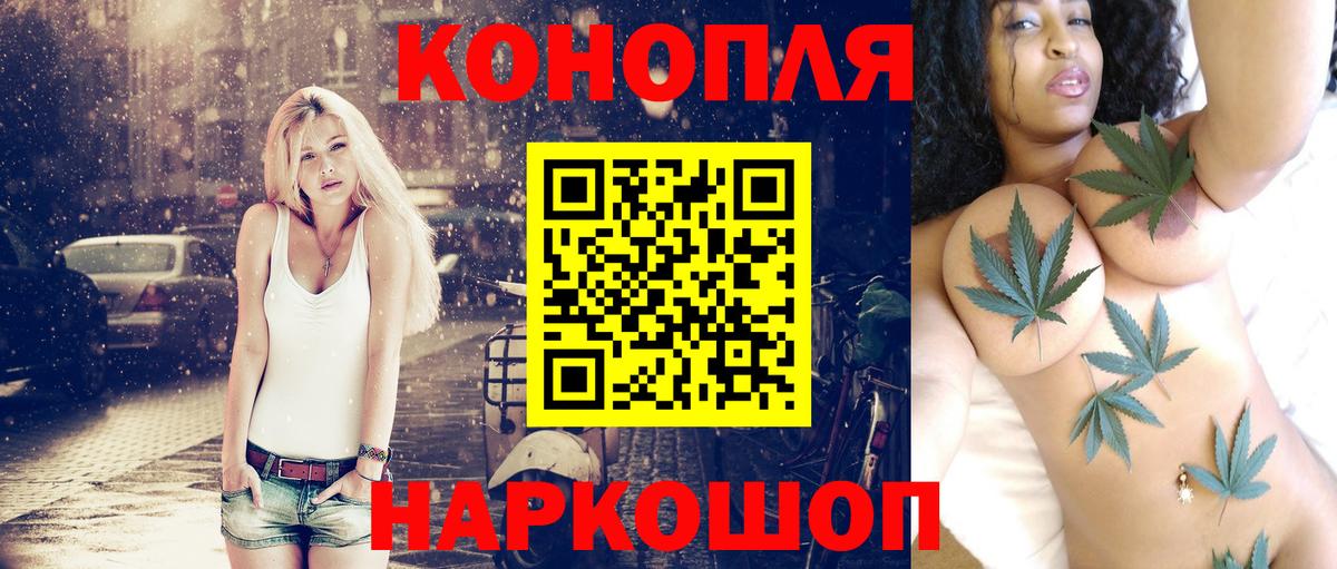 Бошки Шишки Ganja  Конопля конопля  Канабис тримм  Кубинка  Шишки марихуана планчик  Вход с VPN 